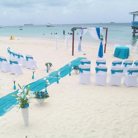 Starfish Halcyon Cove Hotel Dickenson Bay Ngoại thất bức ảnh