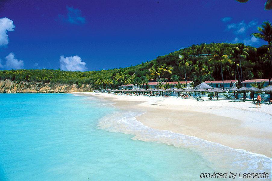 Starfish Halcyon Cove Hotel Dickenson Bay Ngoại thất bức ảnh