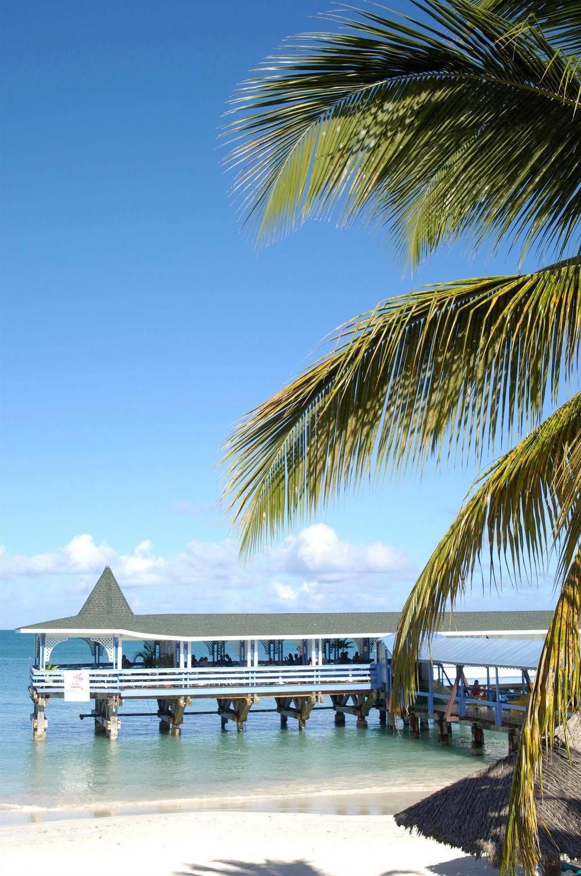 Starfish Halcyon Cove Hotel Dickenson Bay Ngoại thất bức ảnh
